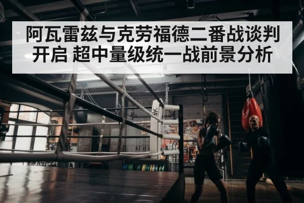 boxer training gym