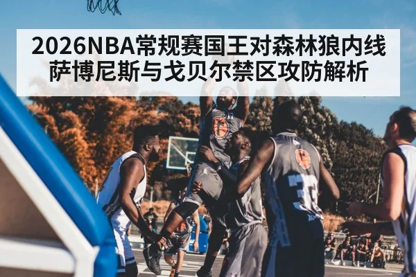 2026NBA常规赛国王对森林狼内线 萨博尼斯与戈贝尔禁区攻防解析